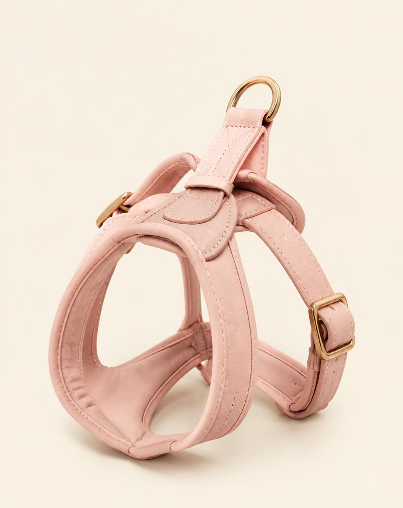 Signature Harness